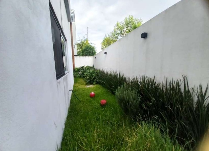 Patio trasero con jardín